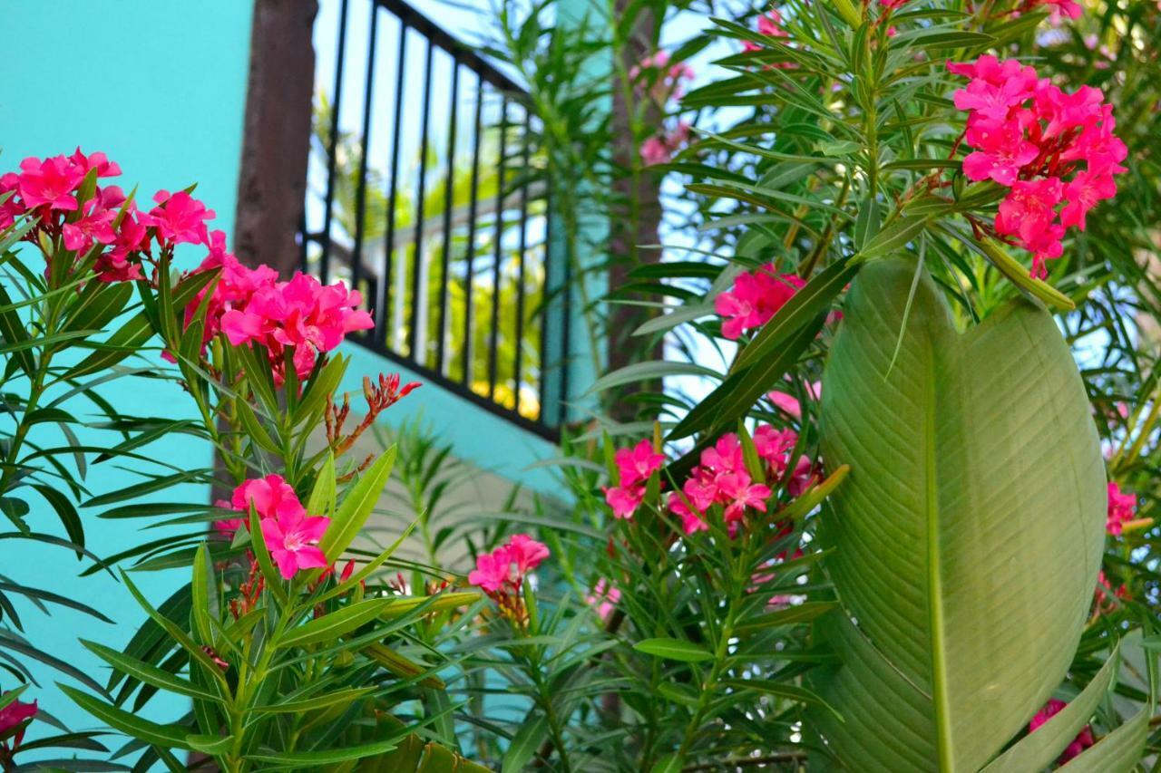 Emerald Beach Resort Altona Dış mekan fotoğraf